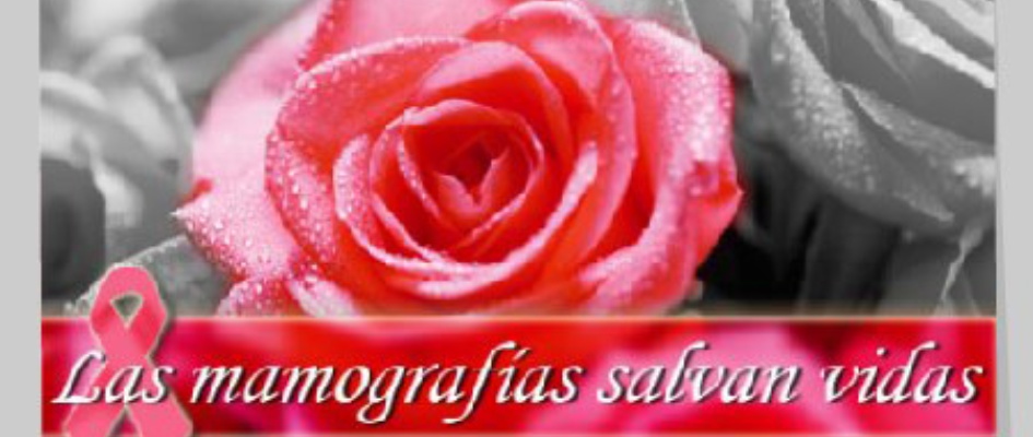 145224409_3737296212972704_6333655829363196851_n