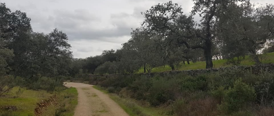 147839429_2758903514364503_239227406567350897_n (1)