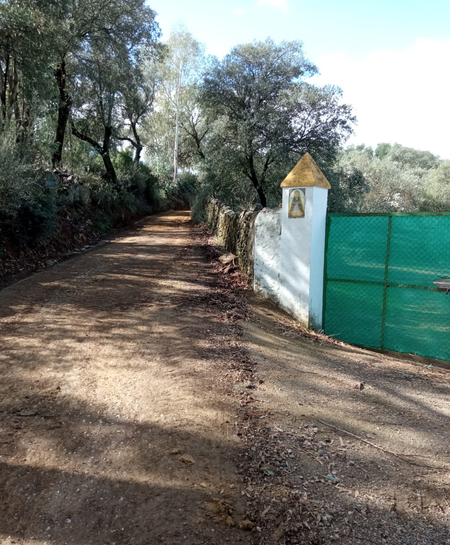 WhatsApp Image 2023-10-25 at 08.40.26 (2)