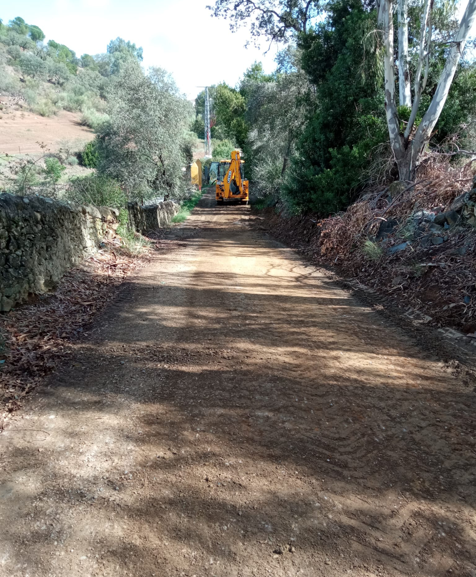 WhatsApp Image 2023-10-25 at 08.40.26 (3)