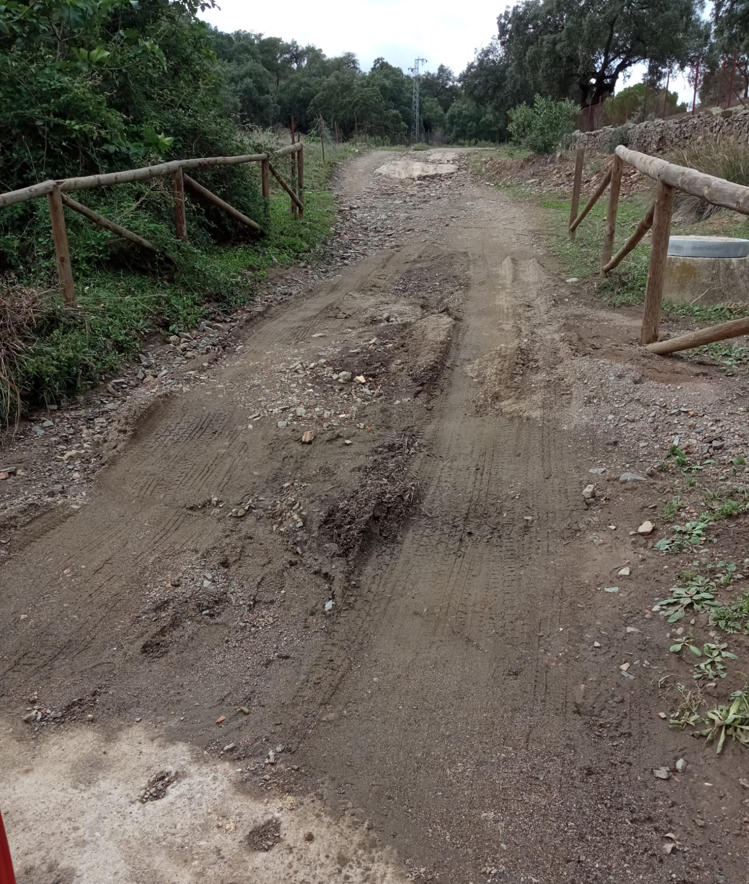 WhatsApp Image 2023-10-27 at 08.47.34 (2)