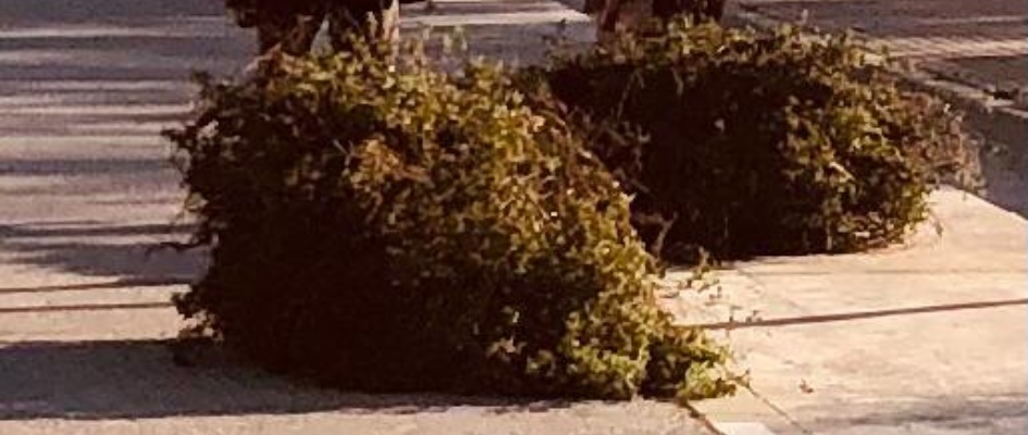 WhatsApp Image 2024-02-02 at 09.02.18