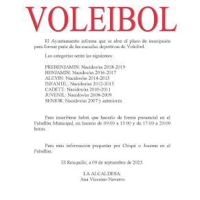 Voleibol Bando