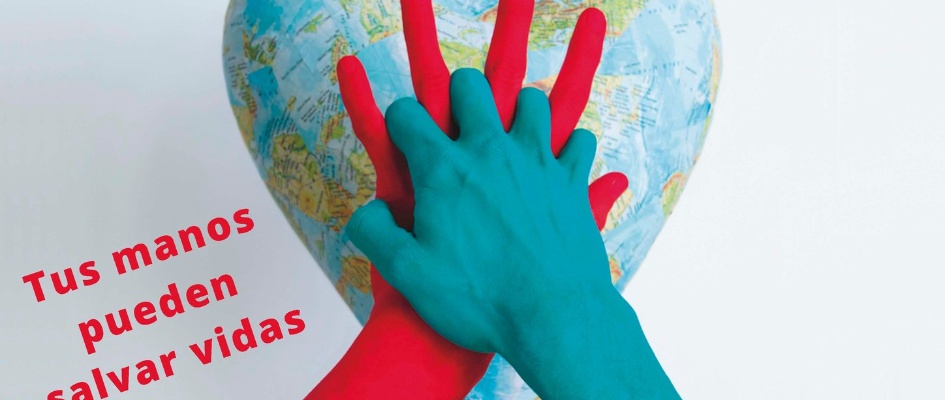 311583509_475255274629780_1908014175249906333_n