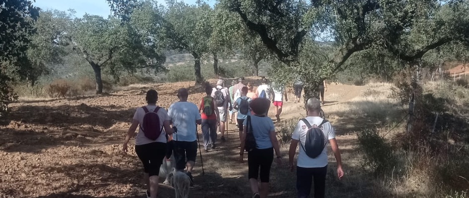 311863028_477667061055268_1341858876126494922_n