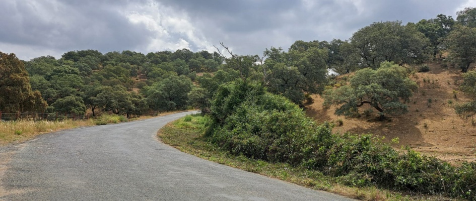 342477314_623054122607077_8684761205022307910_n