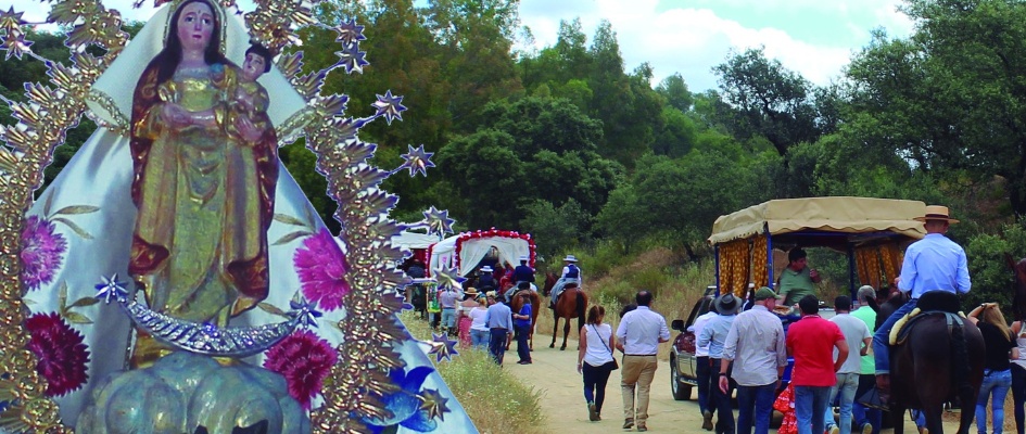 349085143_1410357216448265_7549404610757677247_n