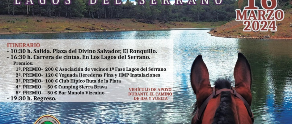 431051831_794921332663171_5907594504074791096_n