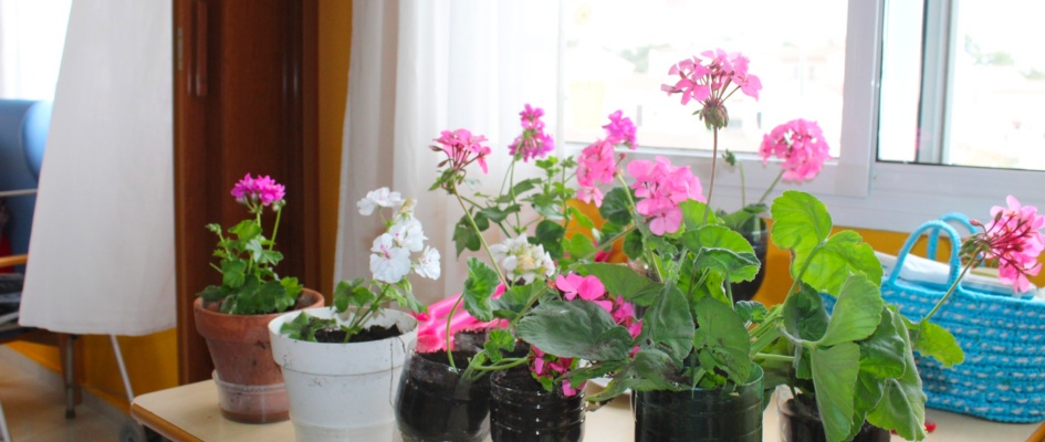 440816252_834682308687073_5699464018529209031_n