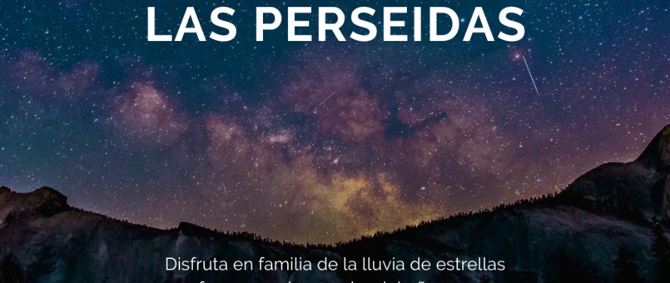 453723771_1235074724613611_7133219635359180533_n