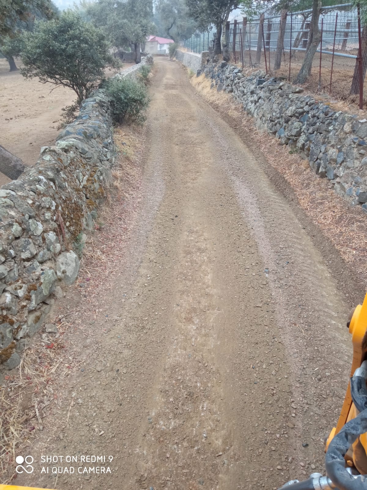 461639173_936707615151208_8078742704771004638_n