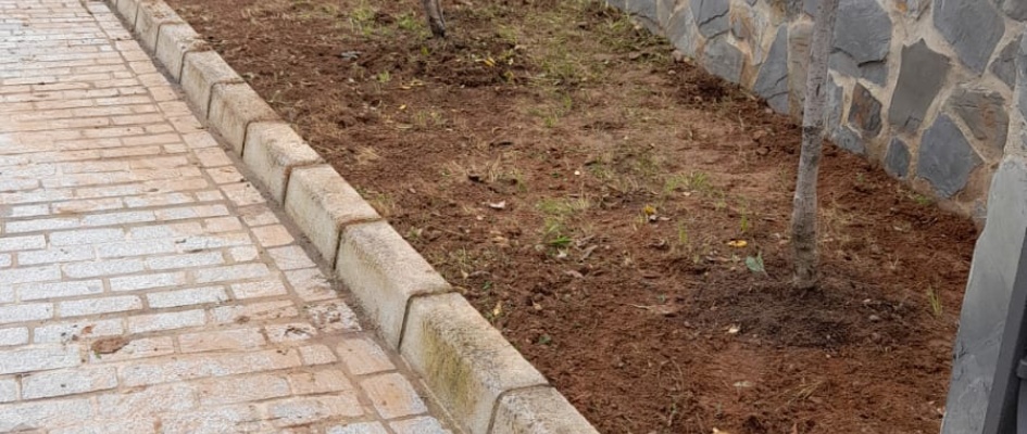 488684945_1075711881250780_9189910468541111508_n