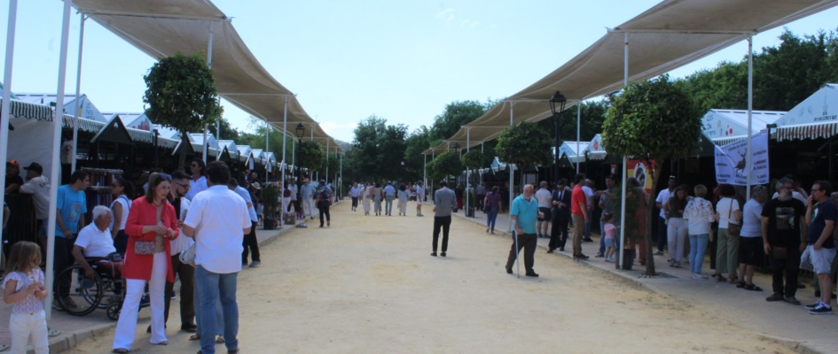 617655125_1313941260761173_2771742084250961241_n