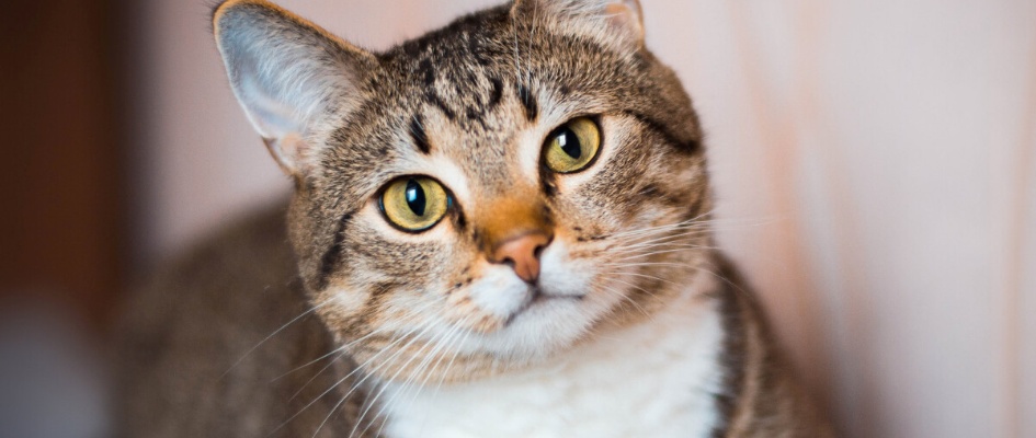 619106877_1314712964017336_5701810023855550195_n