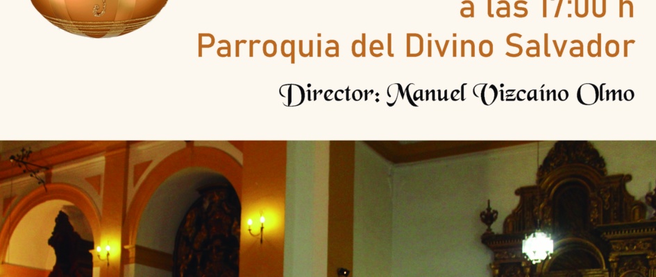 Concierto Banda de Música Municial de El Ronquillo