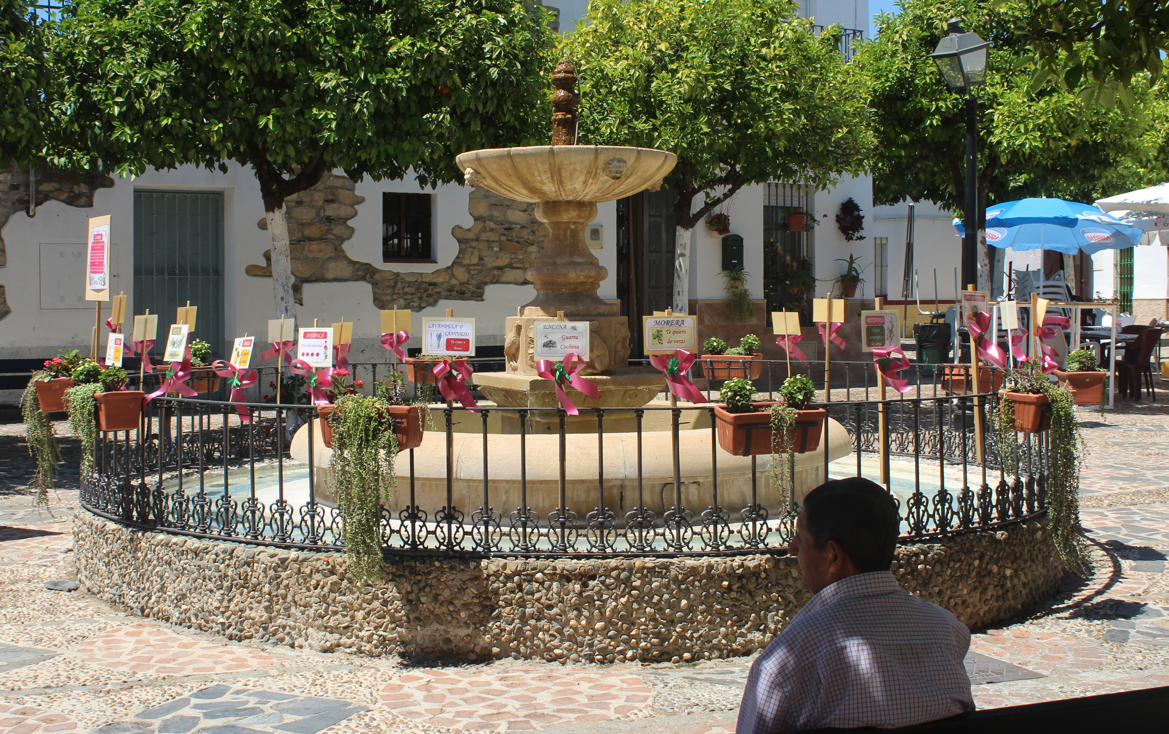 Enramá asociación 01