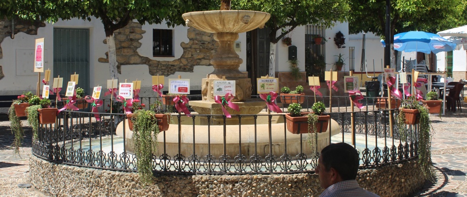 Enramá asociación 01