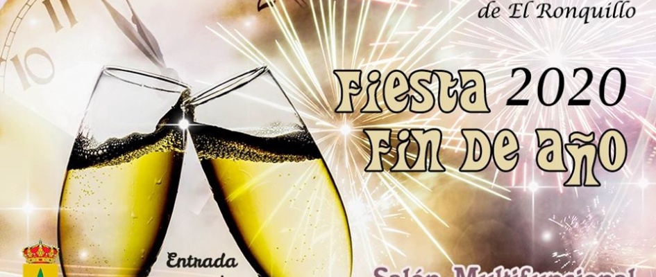 FIESTA FIN DE AÑO