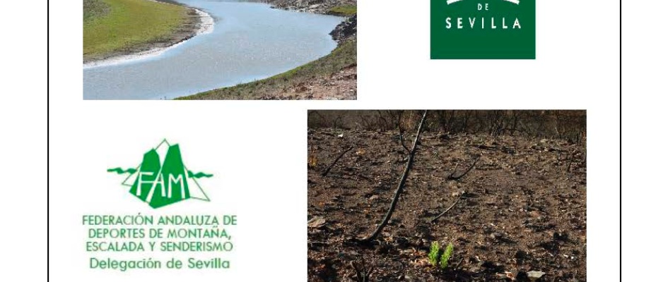 Ficha-Tecnica-Ruta-6-El-Ronquillo-21.05.2023_Página_7