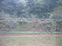 Obras restauracion via