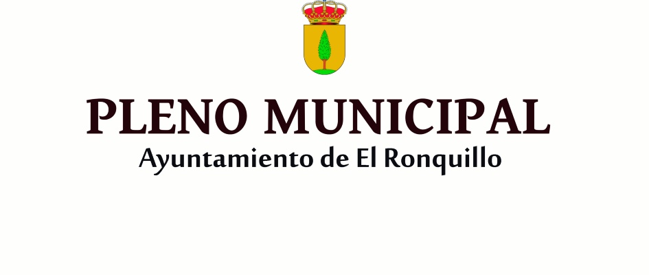 Pleno municipal 22 marzo