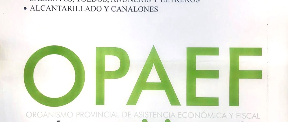 WhatsApp Image 2024-09-11 at 11.11.35