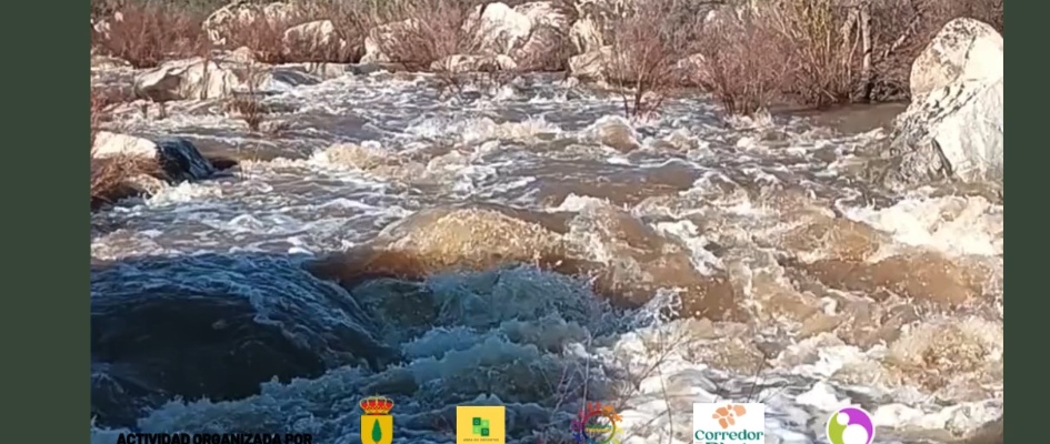 WhatsApp Video 2025-03-14 at 11.26.59