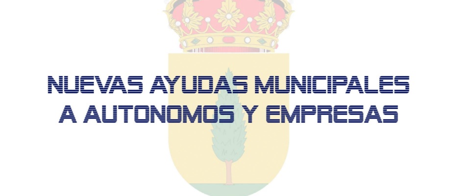 ayudas autónomos y empresas