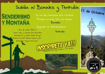 bolanes tentudia