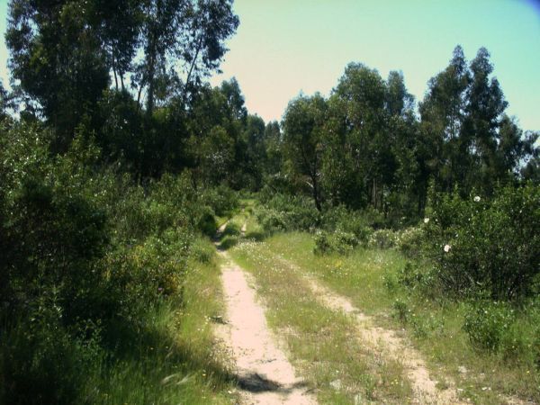 el casarejo09