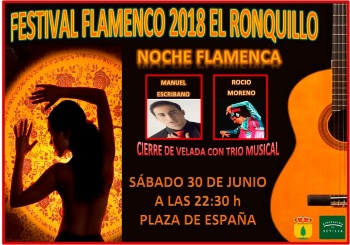festival flamenco