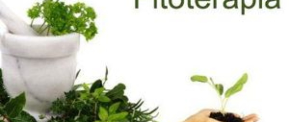 fitoterapia22.jpg